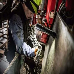 Coast Polysteel 700 800 Lm Black LED COB Flashlight AA Battery -Crescentent Store 6a265418 25a2 4579 a5e5 e38df3451359